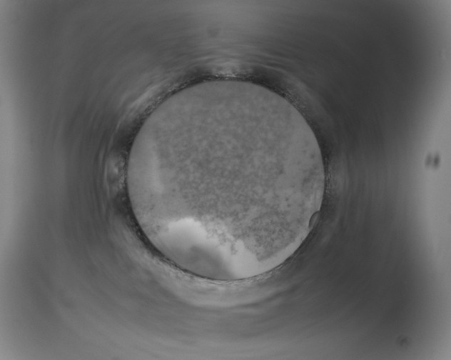 X0000113930043200910231931