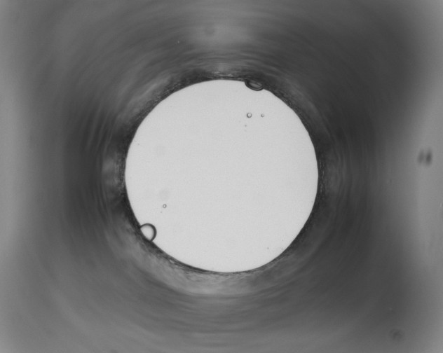 X0000113930044200910231931