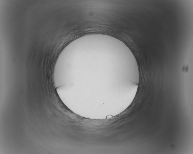X0000113930045200910231931