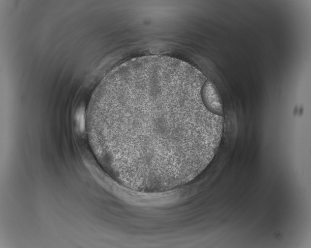 X0000113930046200910231931