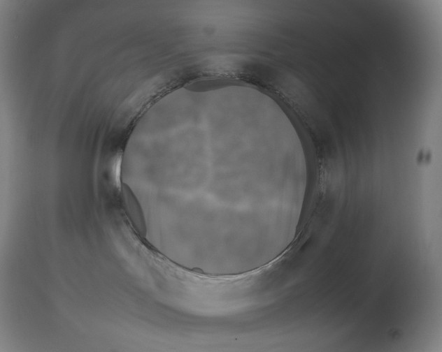 X0000113930047200910231931