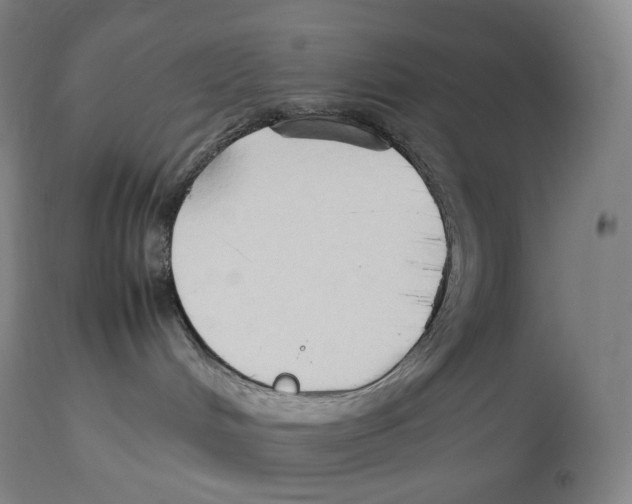 X0000113930048200910231931