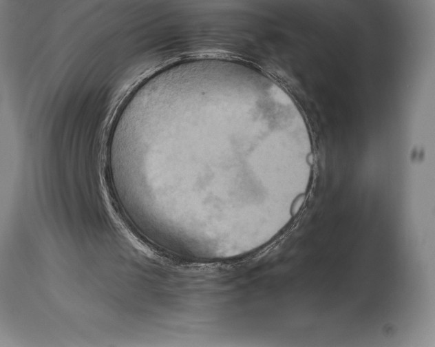 X0000113930049200910231930
