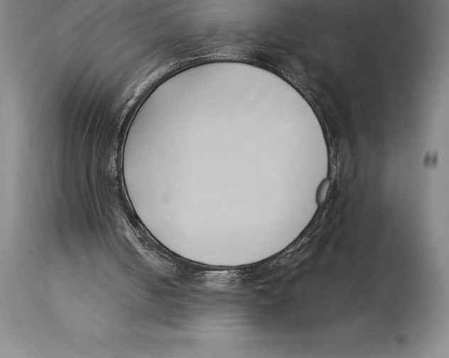 X0000113930050200910231931