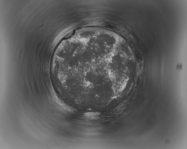 X0000113930051200910231931