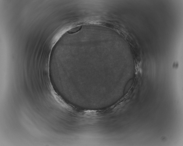 X0000113930052200910231931