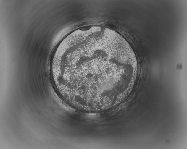 X0000113930053200910231931