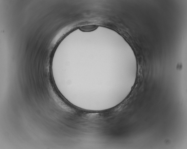X0000113930054200910231931