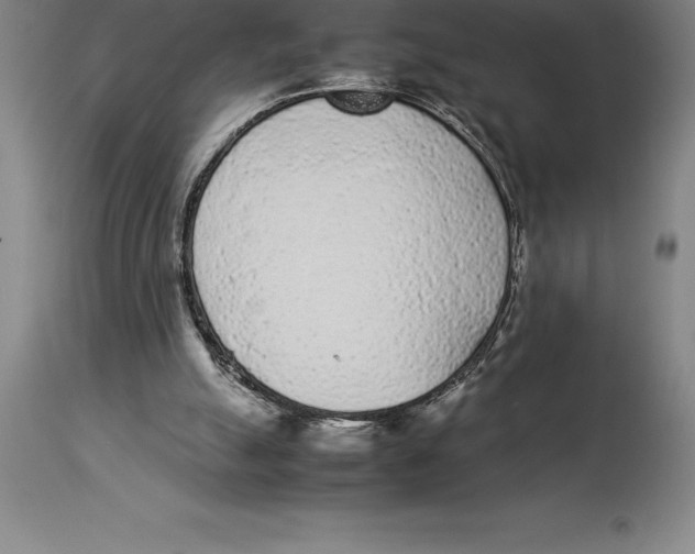 X0000113930055200910231931