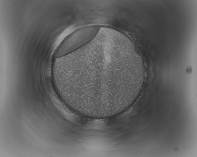 X0000113930056200910231931