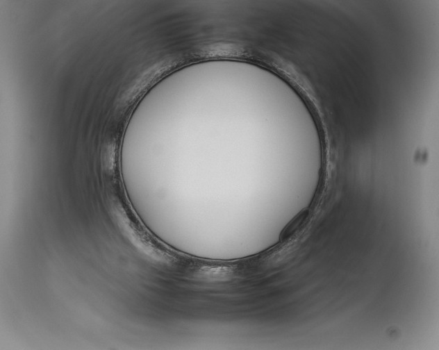 X0000113930057200910231931