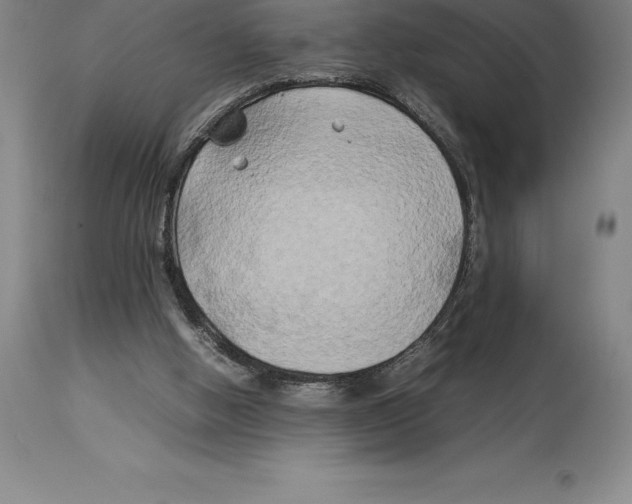 X0000113930058200910231931
