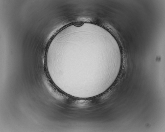 X0000113930059200910231931
