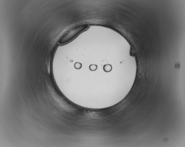 X0000113930062200910231931