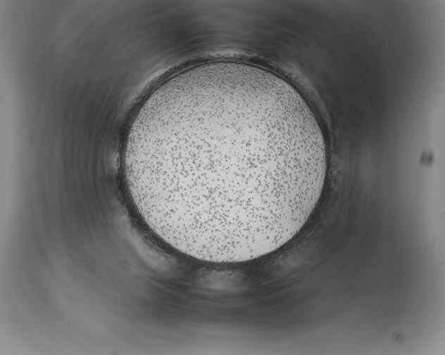 X0000113930063200910231931