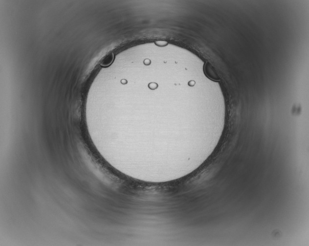 X0000113930064200910231931