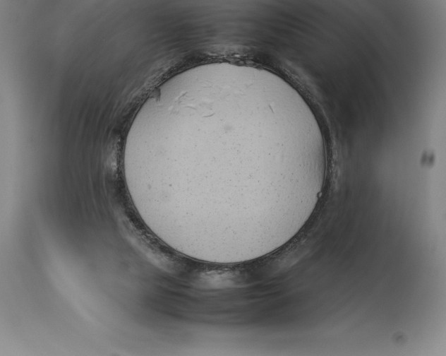 X0000113930065200910231931