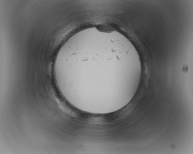 X0000113930066200910231931