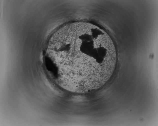 X0000113930067200910231931