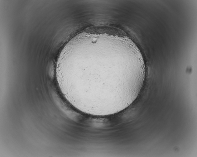 X0000113930069200910231931