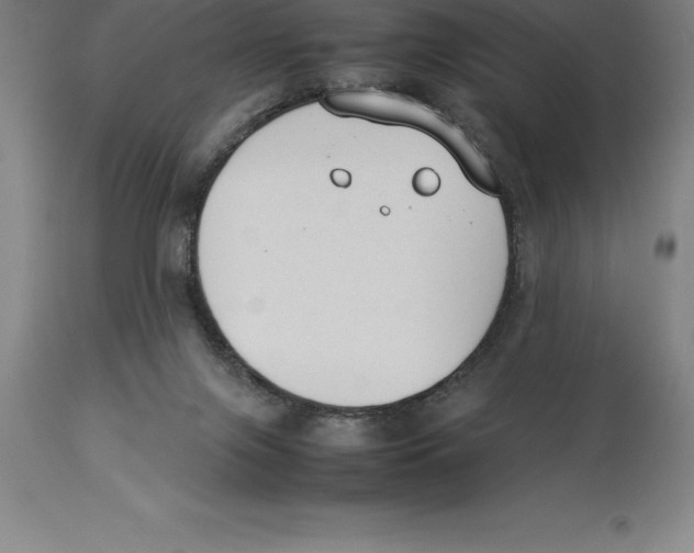 X0000113930071200910231931