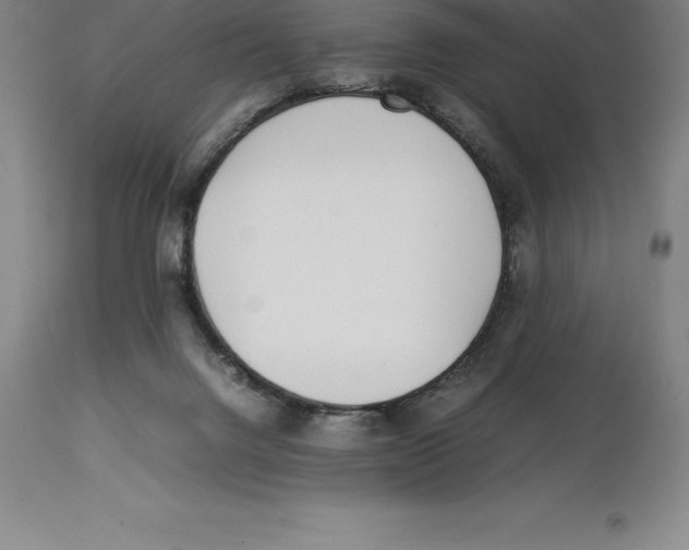 X0000113930072200910231931