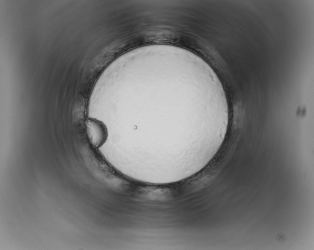 X0000113930073200910231931