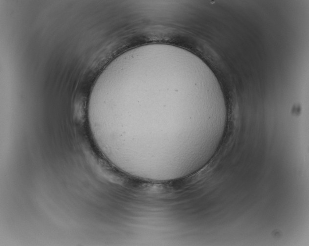X0000113930074200910231931