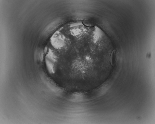 X0000113930076200910231931