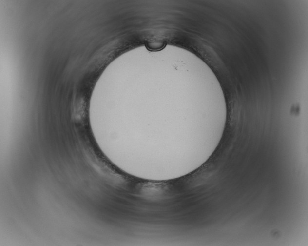 X0000113930077200910231931