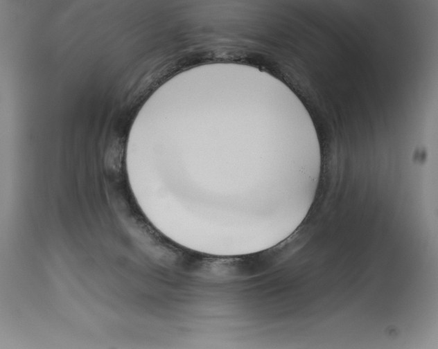 X0000113930078200910231931