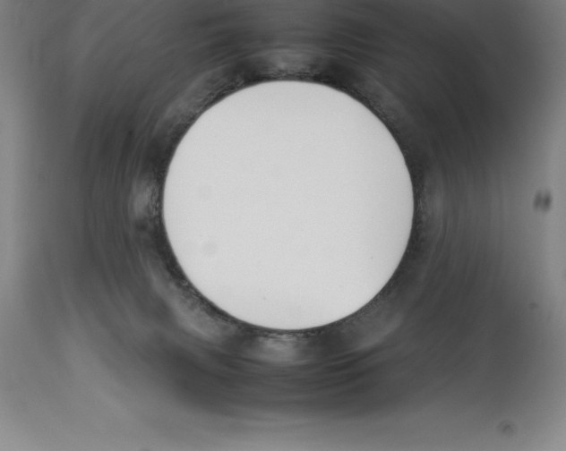 X0000113930079200910231931