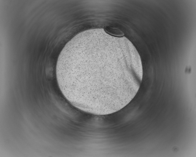 X0000113930080200910231931