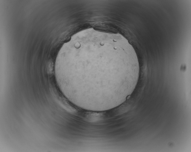 X0000113930081200910231931