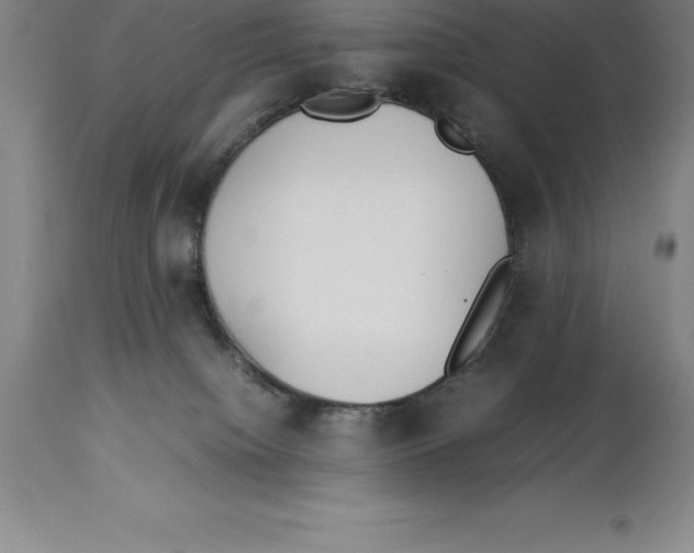 X0000113930084200910231931
