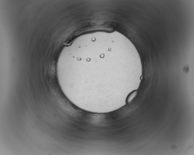 X0000113930085200910231931