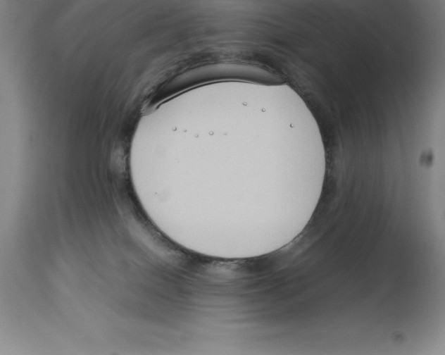 X0000113930086200910231931