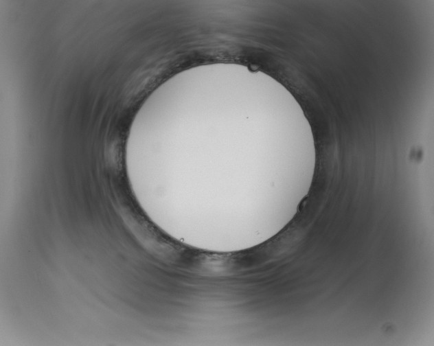 X0000113930088200910231931