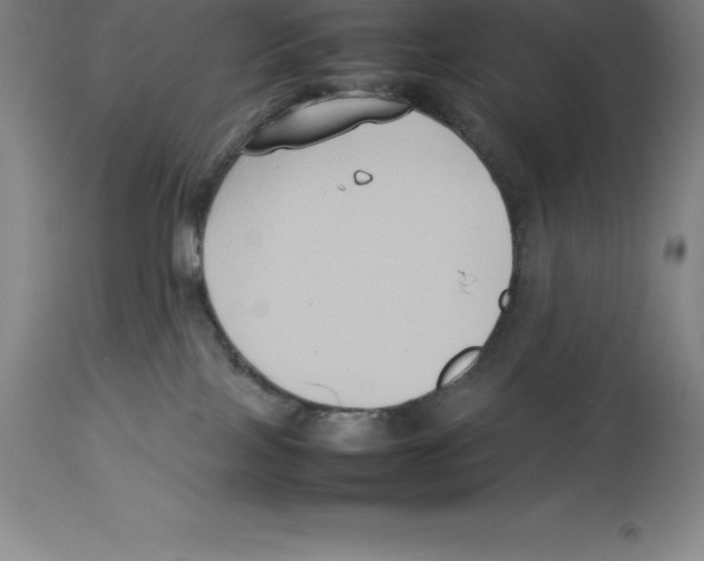 X0000113930089200910231931
