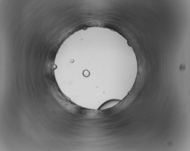 X0000113930096200910231931