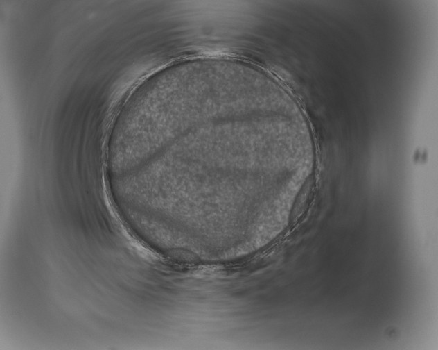 X0000113930097200910231930