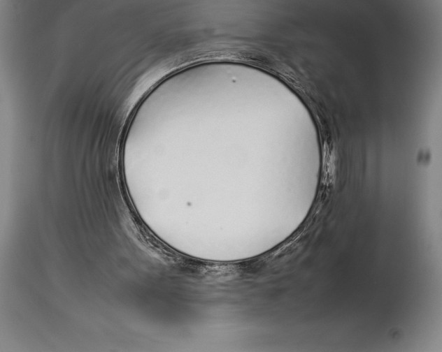 X0000113930099200910231930