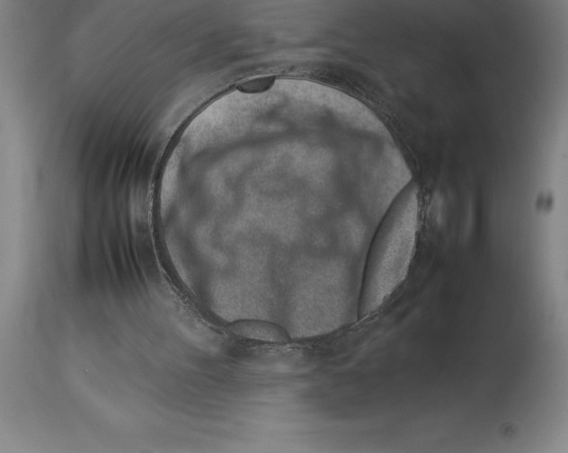 X0000113930100200910231930