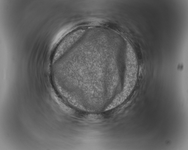 X0000113930101200910231930