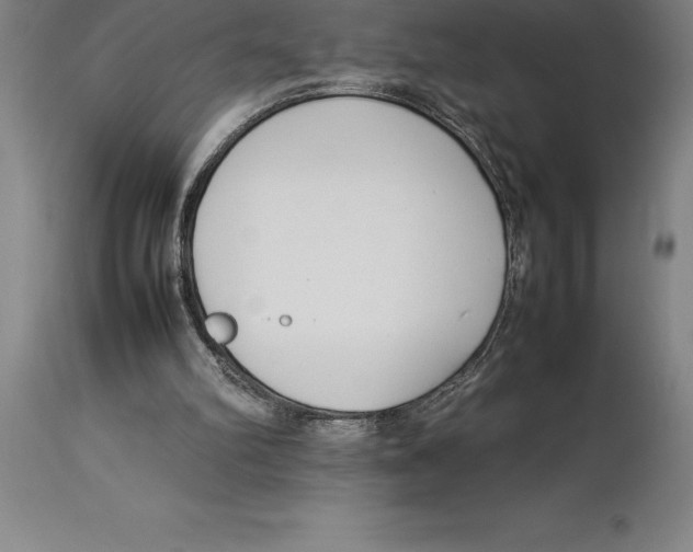 X0000113930102200910231930