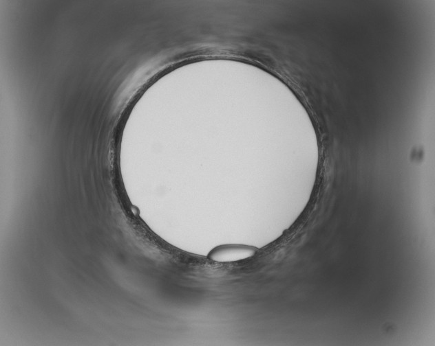 X0000113930103200910231930