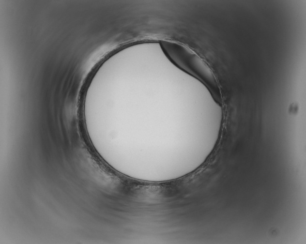 X0000113930104200910231930