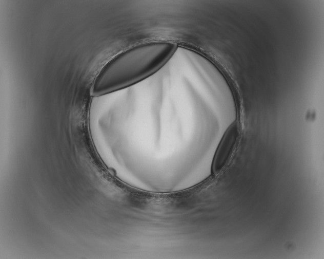 X0000113930105200910231930