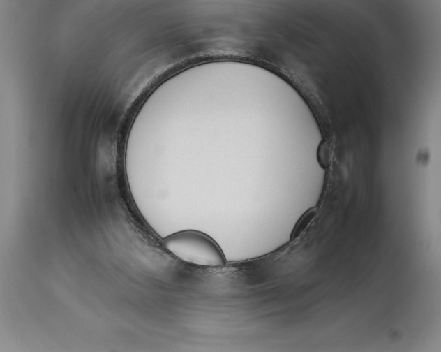 X0000113930108200910231930