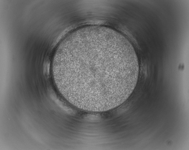 X0000113930110200910231930
